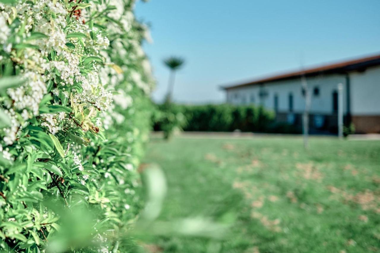 La Massaria Agriresort Orta Nova Екстериор снимка