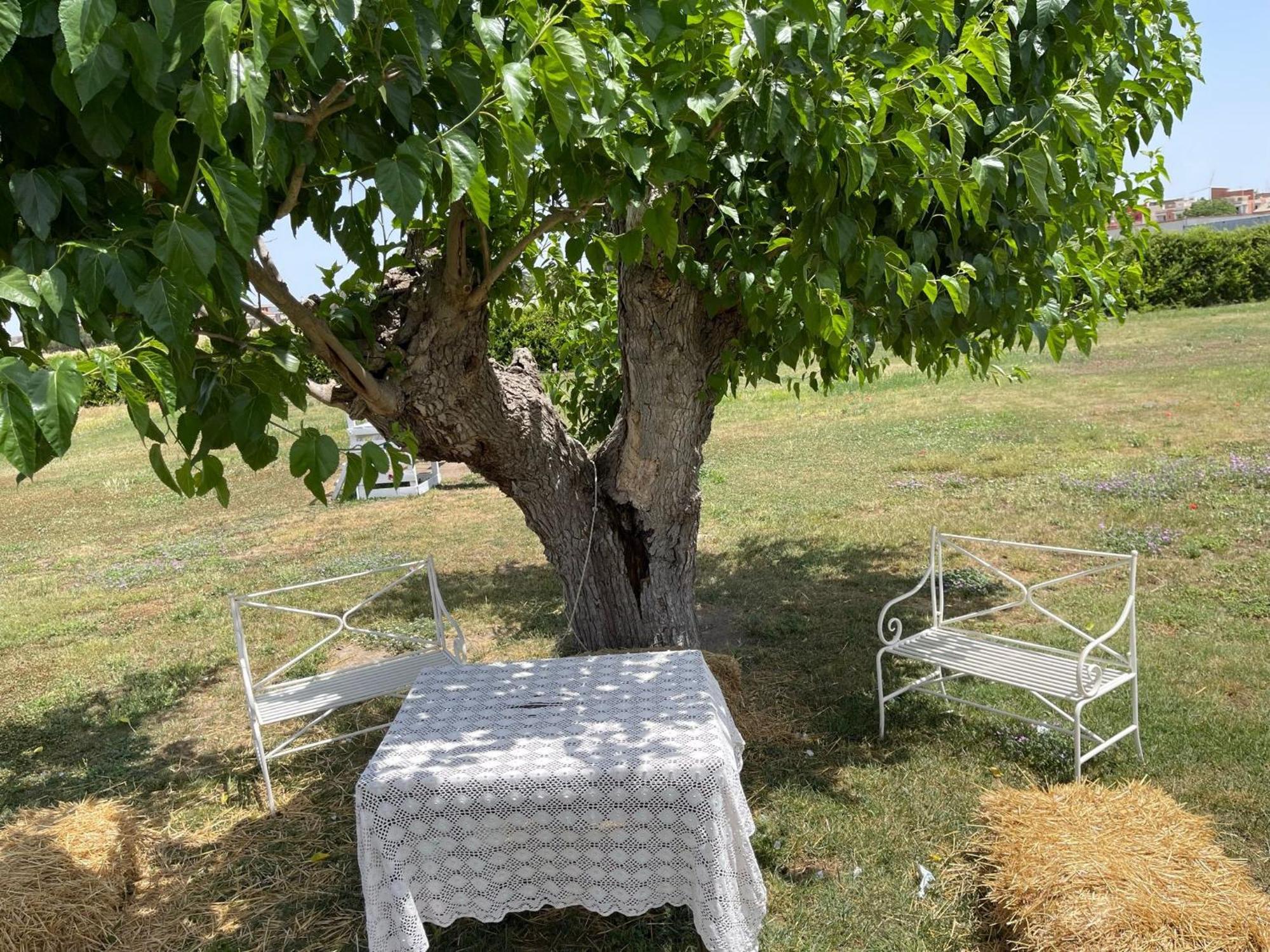 La Massaria Agriresort Orta Nova Екстериор снимка