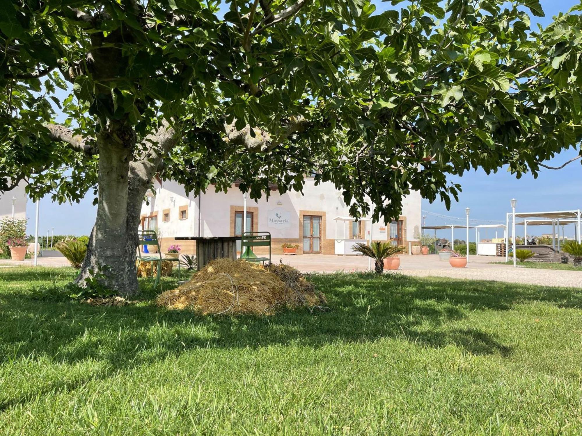 La Massaria Agriresort Orta Nova Екстериор снимка