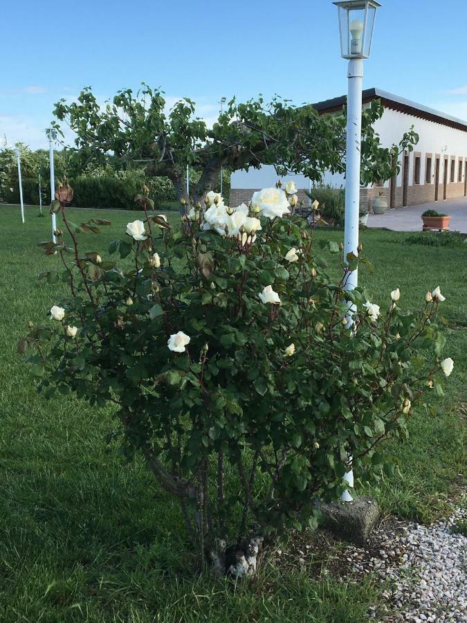 La Massaria Agriresort Orta Nova Екстериор снимка