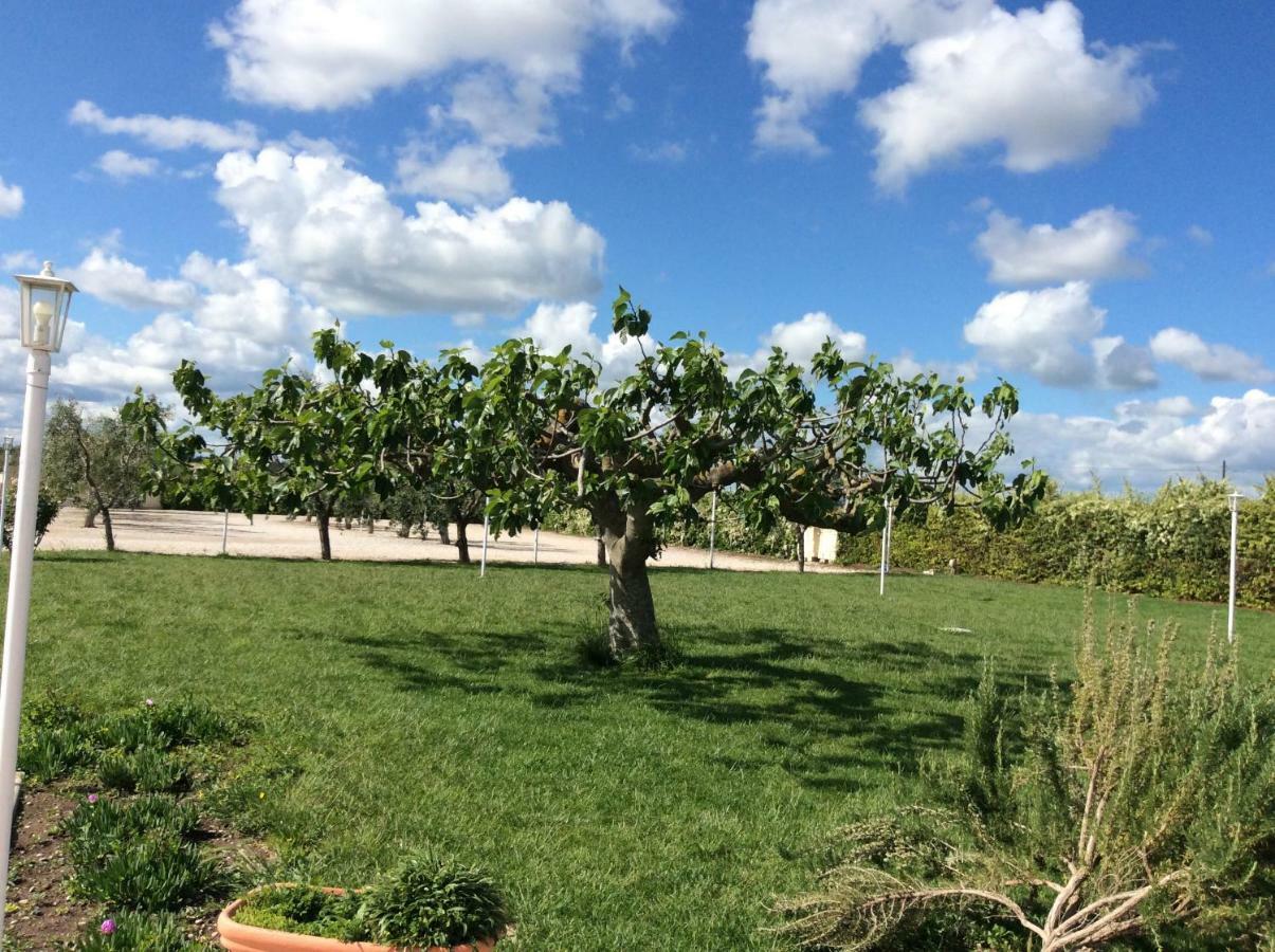 La Massaria Agriresort Orta Nova Екстериор снимка